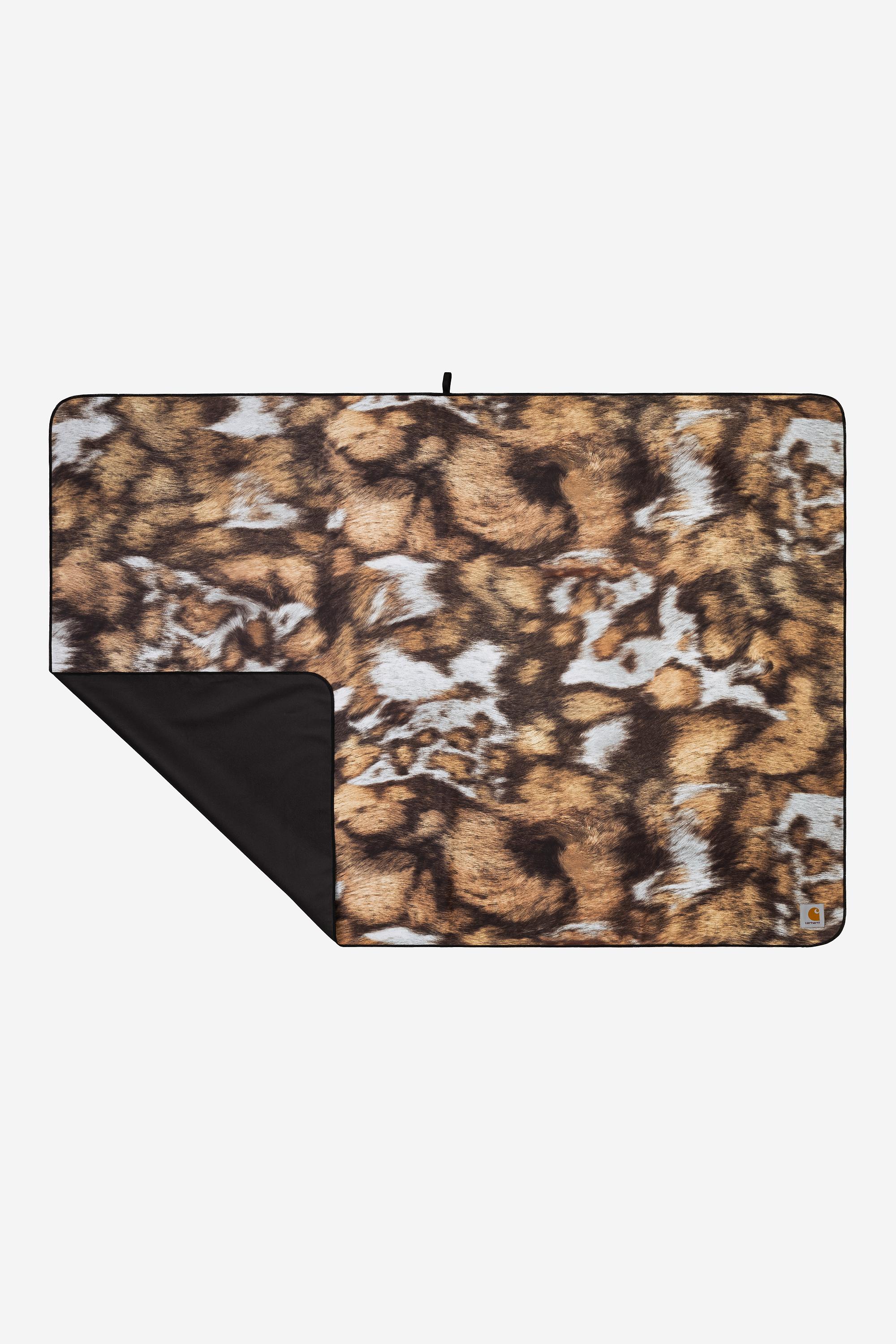 Wild Dog Print